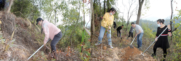 C:\Users\luoyufang\Desktop\20210315義務(wù)植樹\廈門宏業(yè)義務(wù)植樹照片\1.jpg C:\Users\luoyufang\Desktop\20210315義務(wù)植樹\廈門宏業(yè)義務(wù)植樹照片\1.jpg